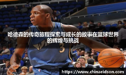 BB贝博登录入口