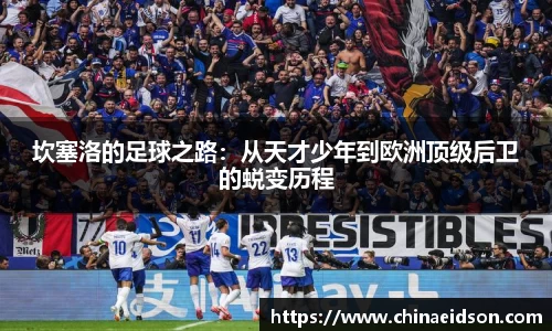 BB贝博登录入口